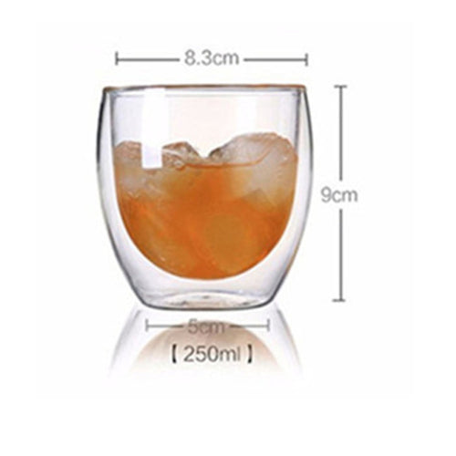 Double Wall Glass Cup