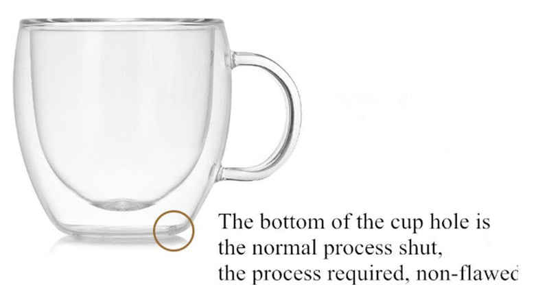 Double Wall Glass Cup